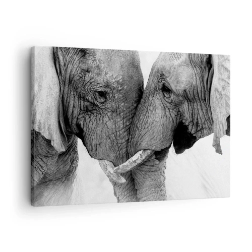 Bild på duk Arttor 70x50 cm - Hjärtlig bekännelse - Elefant, Djur, Afrika, Svartvitt, Kärlek, Till vardagsrum, Till sovrum, Vit, Svart, Horisontella, Duk, AA70x50-4973