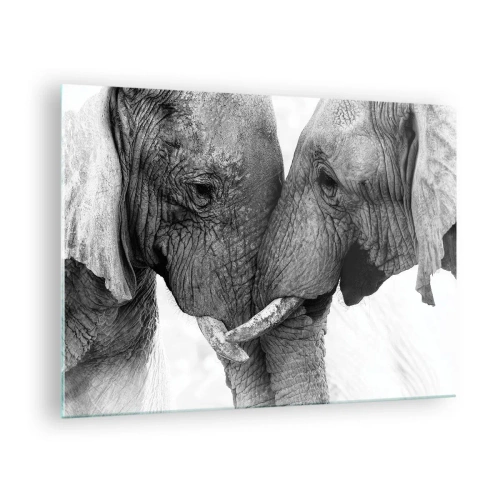 Bild på glas Arttor 70x50 cm - Hjärtlig bekännelse - Elefant, Djur, Afrika, Svartvitt, Kärlek, Till vardagsrum, Till sovrum, Vit, Svart, Horisontella, Glas, GAA70x50-4973