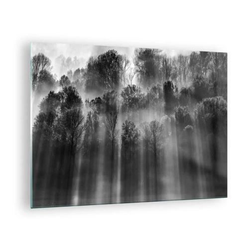 Bild på glas Arttor 70x50 cm - I ljusstrålar - Landskap, Skog, Svartvitt, Natur, Solens Strålar, Till vardagsrum, Till sovrum, Vit, Svart, Horisontella, Glas, GAA70x50-4889