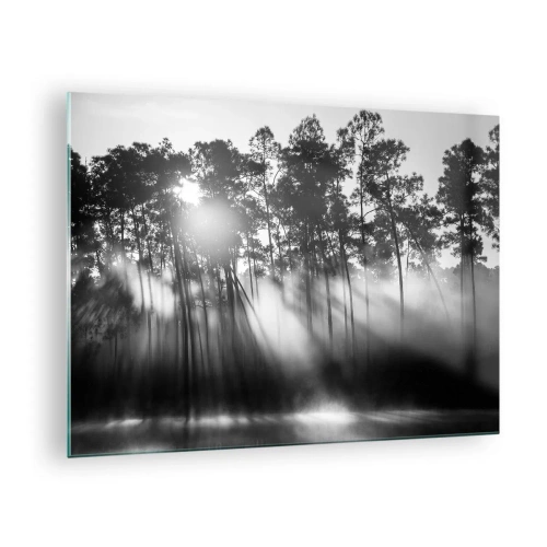 Bild på glas Arttor 70x50 cm - Ostoppad sol - Landskap, Skog, Natur, Konst, Svartvitt, Till vardagsrum, Till sovrum, Vit, Svart, Horisontella, Glas, GAA70x50-4829