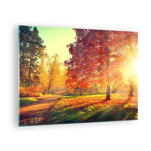 Bild på glas Arttor 70x50 cm - Rött är vackert - Landskap, Parkera, Natur, Träd, Löv, Till vardagsrum, Till sovrum, Orange, Brun, Horisontella, Glas, GAA70x50-3654