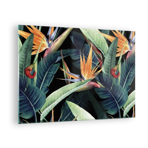 Bild på glas Arttor 70x50 cm - Tropikens brinnande blommor - Royal Strelitzia, Blomma, Afrika, Tropikerna, Modernt Mönster, Till vardagsrum, Till sovrum, Svart, Röd, Horisontella, Glas, GAA70x50-5093