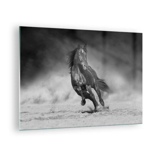 Bild på glas Arttor 70x50 cm - Värd själva emiren - Häst, Djur, Natur, Häst I Galopp, Svartvitt, Till vardagsrum, Till sovrum, Vit, Svart, Horisontella, Glas, GAA70x50-5023