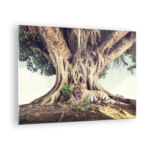 Bild på glas Arttor 70x50 cm - Vi från Första Moseboken - Bengalisk Tiger, Indien, Landskap, Natur, Träd, Till vardagsrum, Till sovrum, Vit, Brun, Horisontella, Glas, GAA70x50-5124