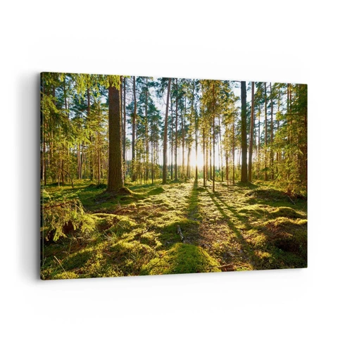 Canvastavla - Bild på duk - ...Bortom sjunde skogen - 100x70 cm