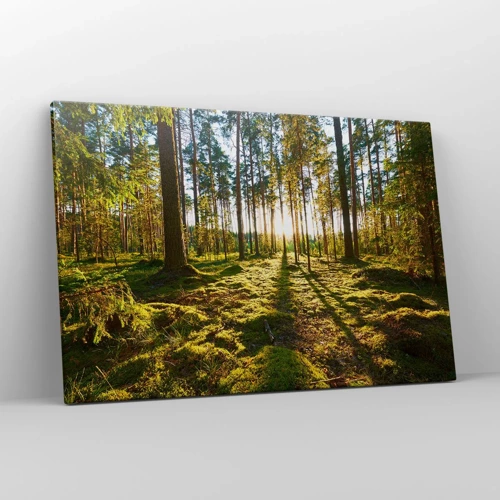 Canvastavla - Bild på duk - ...Bortom sjunde skogen - 120x80 cm