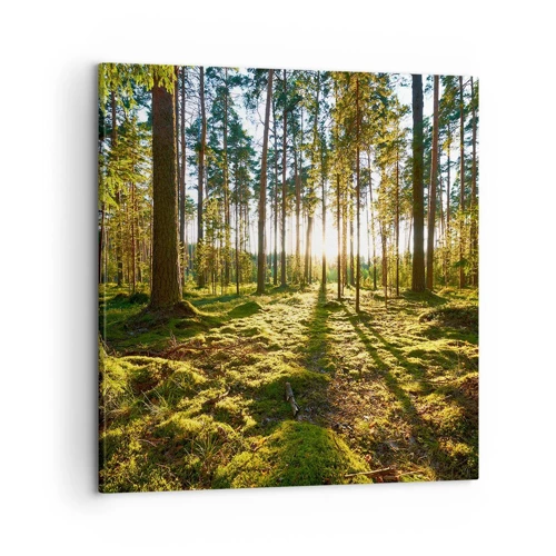 Canvastavla - Bild på duk - ...Bortom sjunde skogen - 60x60 cm