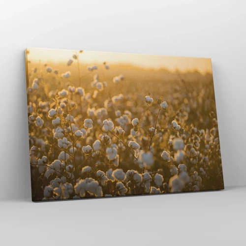 Canvastavla - Bild på duk - Fluffigt fält - 70x50 cm
