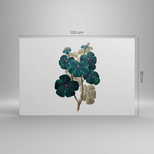 Canvastavla - Bild på duk - Från ett gammalt herbarium - 120x80 cm