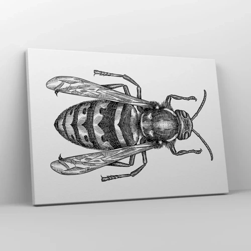Canvastavla - Bild på duk - Från insektplaneten  - 70x50 cm