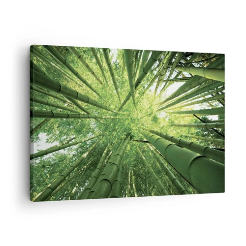 Canvastavla - Bild på duk - I en bambushage - 70x50 cm
