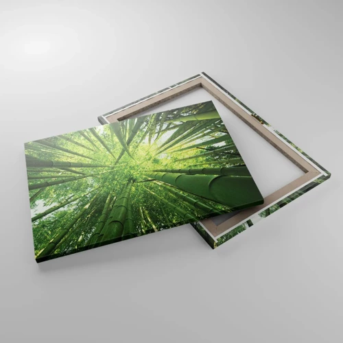 Canvastavla - Bild på duk - I en bambushage - 70x50 cm