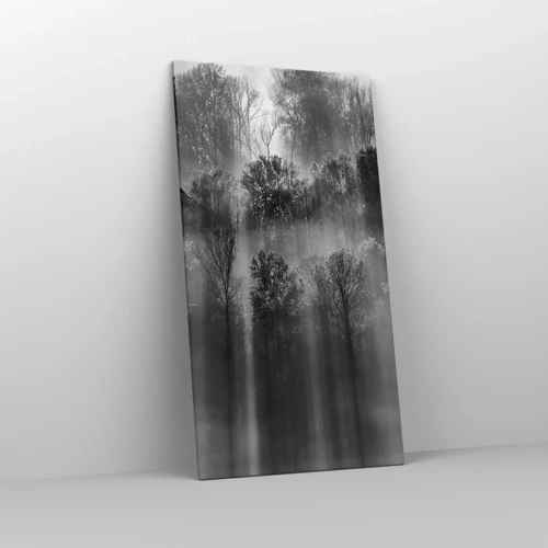 Canvastavla - Bild på duk - I ljusstrålar - 65x120 cm