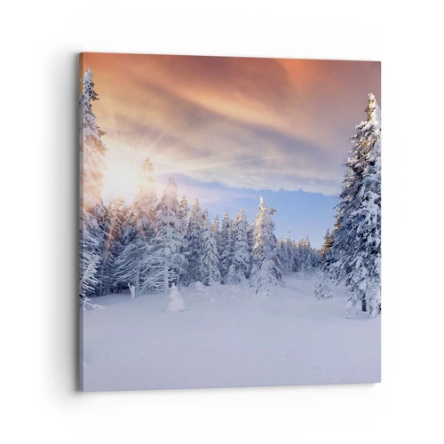 Canvastavla - Bild på duk - Naturens snöiga spel - 70x70 cm