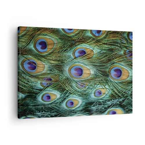 Canvastavla - Bild på duk - Påfågels blick - 70x50 cm