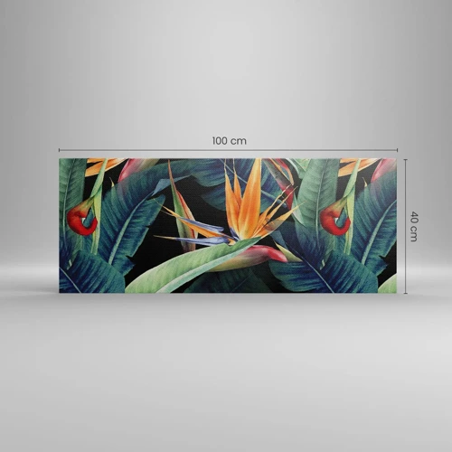 Canvastavla - Bild på duk - Tropikens brinnande blommor - 100x40 cm