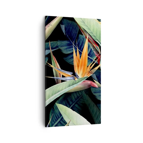 Canvastavla - Bild på duk - Tropikens brinnande blommor - 45x80 cm