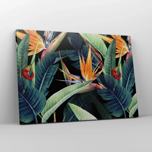 Canvastavla - Bild på duk - Tropikens brinnande blommor - 70x50 cm