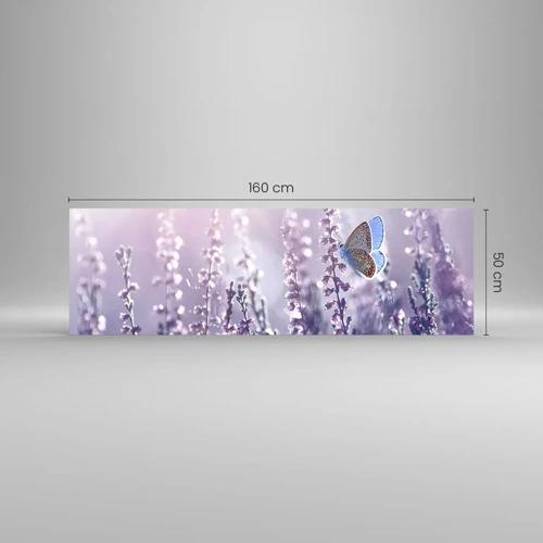 Glastavla - Bild på glas - En fjärils kyss - 160x50 cm