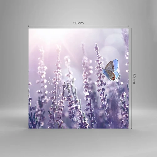 Glastavla - Bild på glas - En fjärils kyss - 50x50 cm