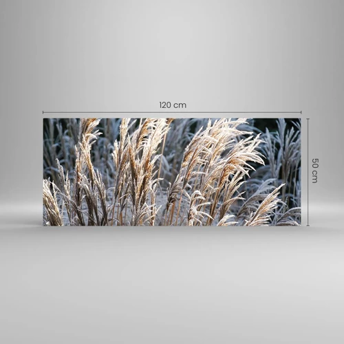 Glastavla - Bild på glas - Frostprydda - 120x50 cm