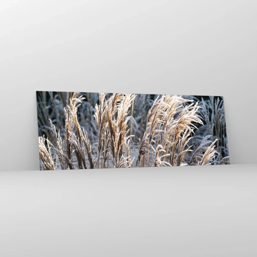 Glastavla - Bild på glas - Frostprydda - 140x50 cm