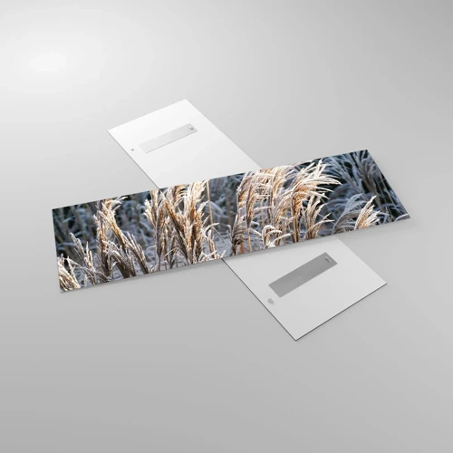 Glastavla - Bild på glas - Frostprydda - 160x50 cm