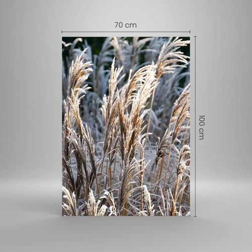 Glastavla - Bild på glas - Frostprydda - 70x100 cm
