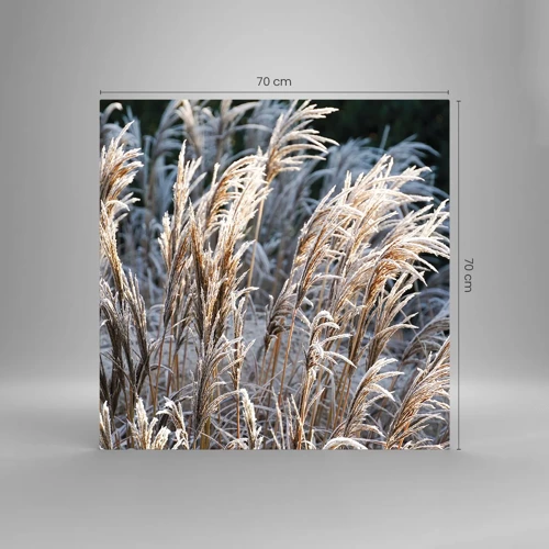 Glastavla - Bild på glas - Frostprydda - 70x70 cm