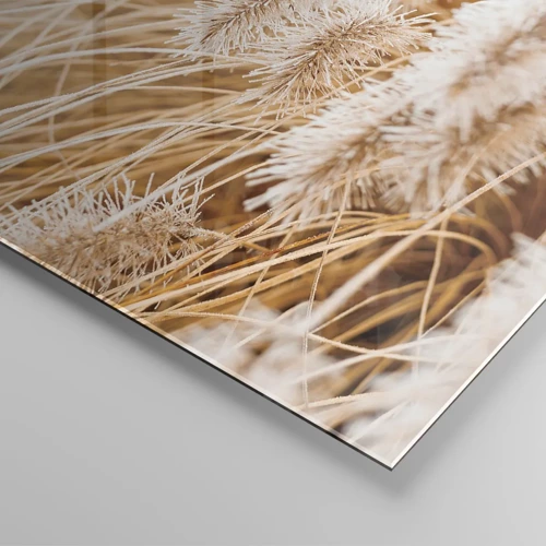 Glastavla - Bild på glas - Gyllene gräsrassel - 40x40 cm