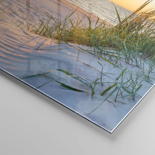 Glastavla - Bild på glas - Havets brus, fågelsång, tom strand bland träden - 30x30 cm