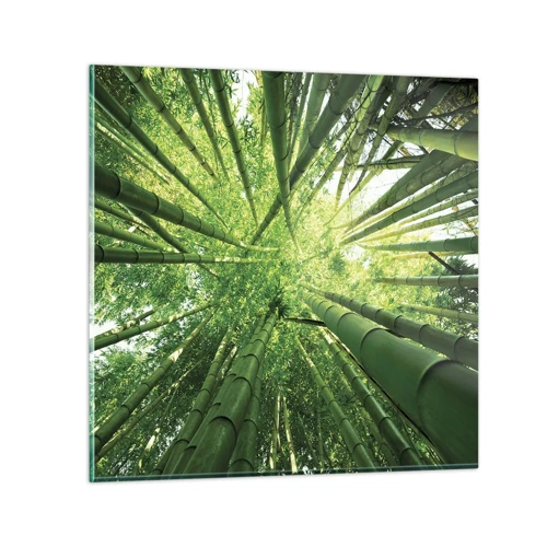 Glastavla - Bild på glas - I en bambushage - 30x30 cm