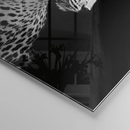 Glastavla - Bild på glas - Perfekt höger profil! - 70x70 cm