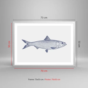 Affisch i vit ram - Hälsningar från de nordliga haven - 70x50 cm